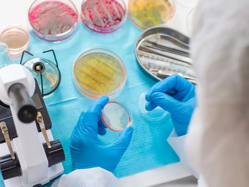 MICROBIOLOGIE ET PARASITOLOGIE
